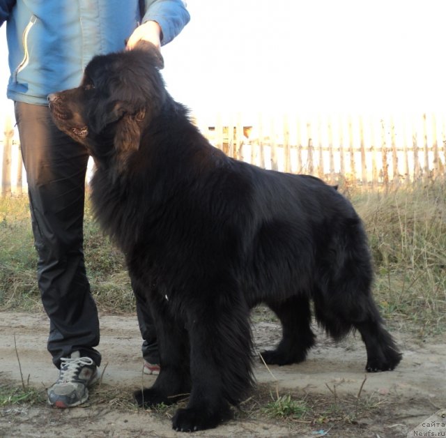 Фотография № 79448