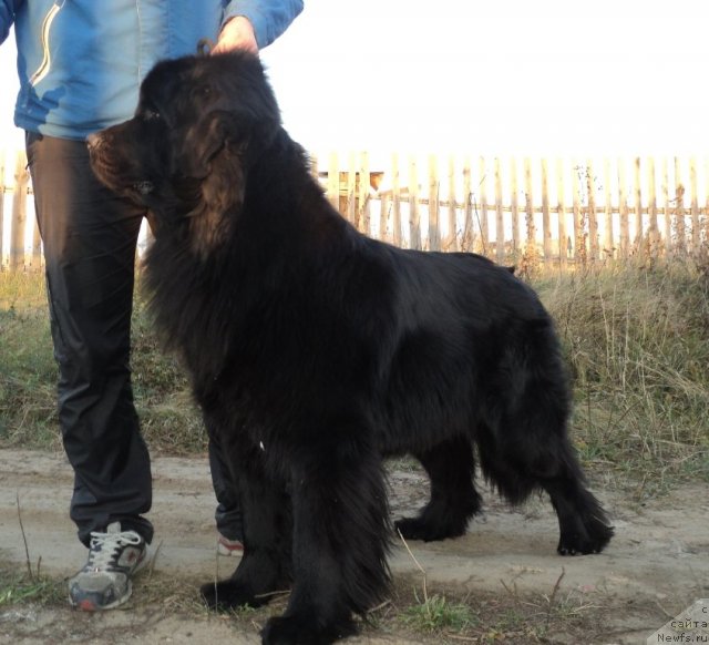 Фотография № 79449