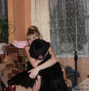 Фотография № 79488