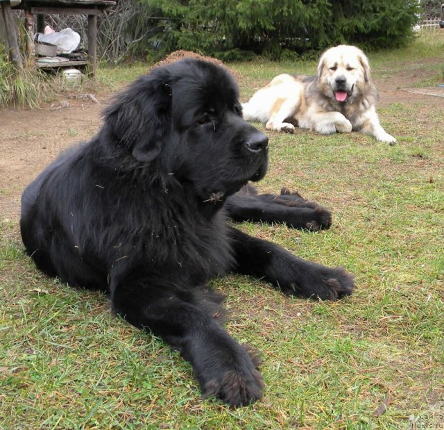 Фотография № 79519