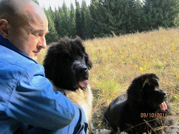 Фото: ньюфаундленд Ih Vyisochestvo Vladlena Madjiks (Их Высочество Владлена Маджикс), ньюфаундленд Super Bizon Ekaterinburg (Супер Бизон Екатеринбург), Aleksey Nistratov (Алексей Нистратов)