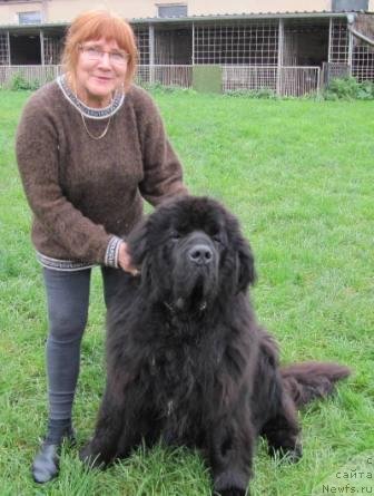 Фотография № 79561