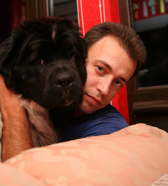 Фото: ньюфаундленд Akvian Song Zero Graviti (Аквиан Сонг Зеро Гравити), Aleksandr Rozenfel'd (Александр Розенфельд)