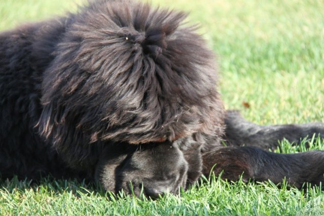 Фотография № 79585