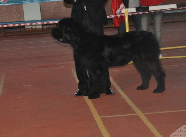 Фотография № 79704