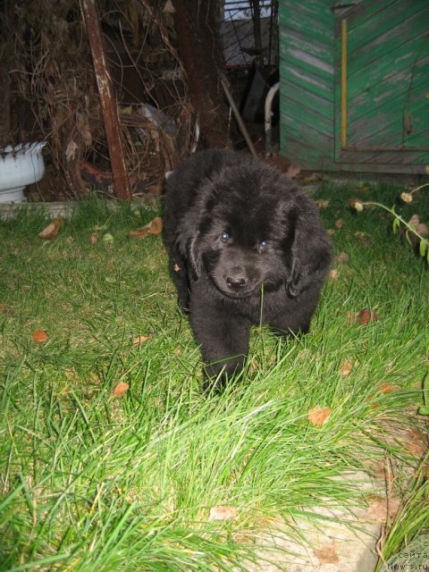 Фото: Svetlana Glagoleva (Светлана Глаголева)