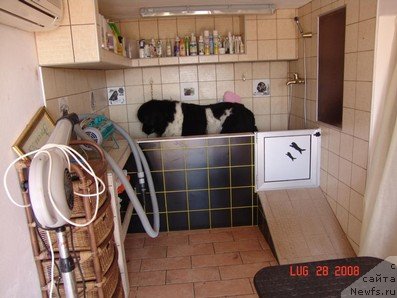 Фотография № 79714