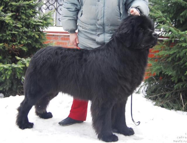 Фотография № 7972