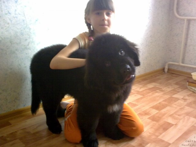 Фотография № 79728