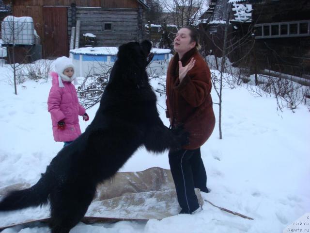 Фотография № 7975