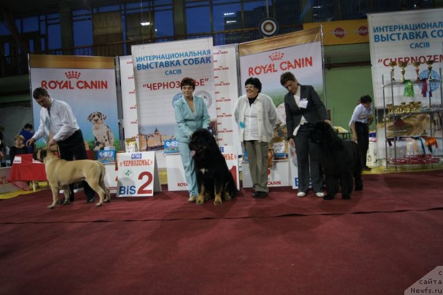 Фотография № 79762