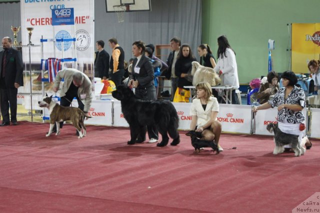 Фотография № 79763