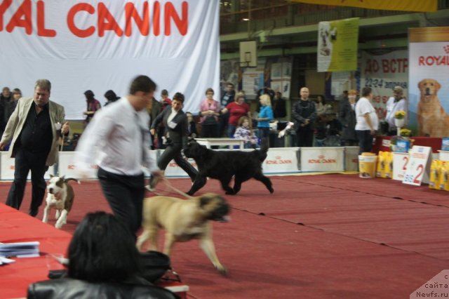 Фотография № 79764