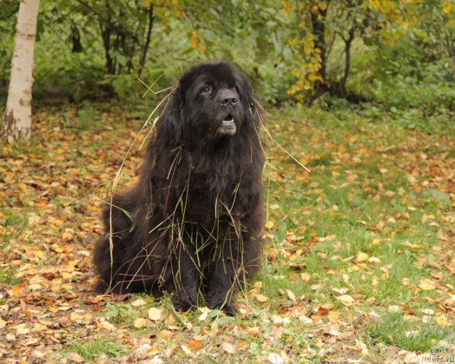 Фотография № 79769