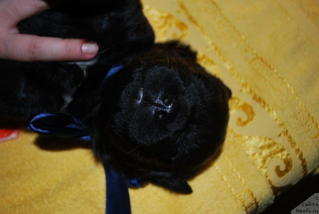 Фото: Natal'ya Smirnova (Наталья Смирнова)