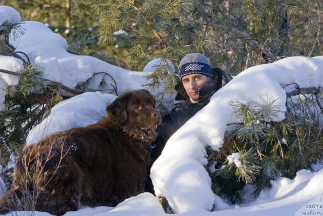Фото: ньюфаундленд Lesnaya Skazka Izol'da (Лесная Сказка Изольда), Igor' Momot (Игорь Момот)