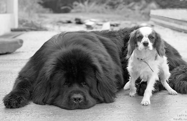 Фотография № 79799