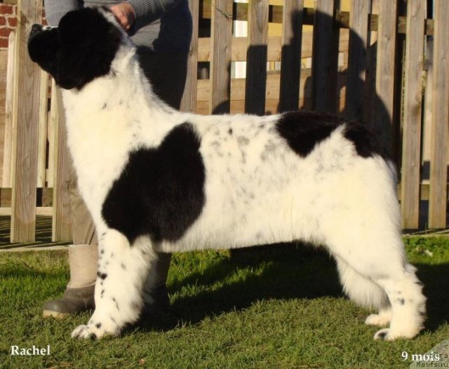 Фотография № 79800