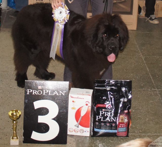 Фотография № 79802