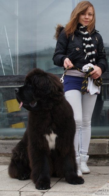 Фотография № 79803