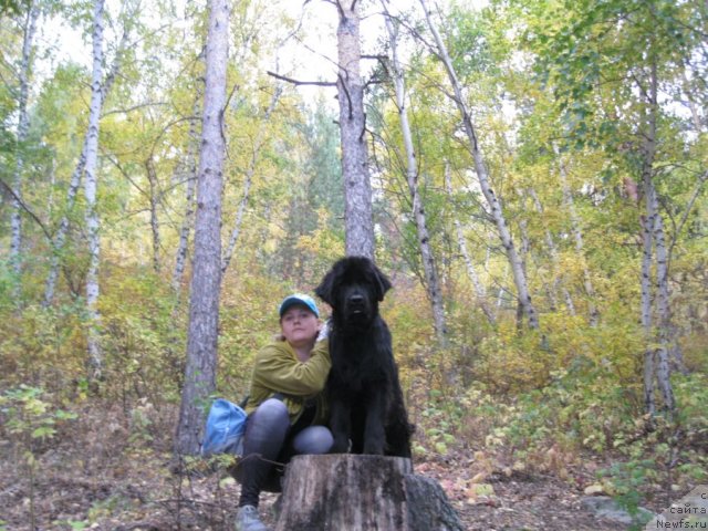 Фото: Anna Zarya (Анна Заря)