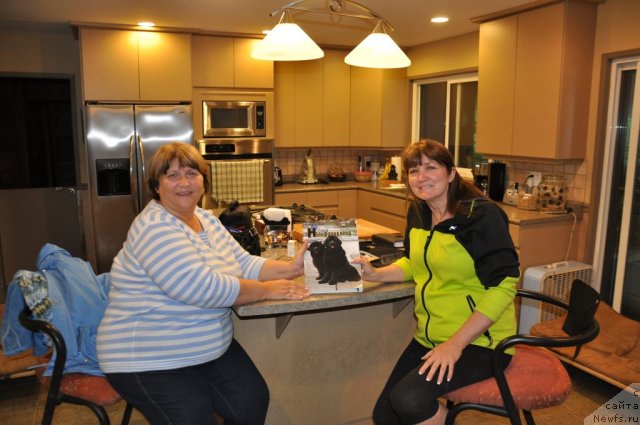 Фотография № 79857