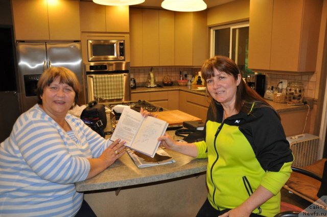 Фотография № 79859