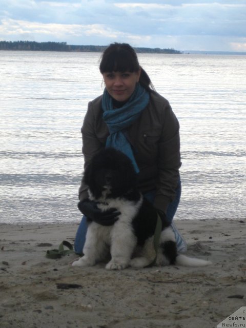 Фотография № 79860