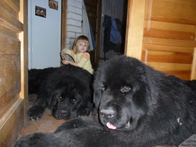 Фотография № 79865