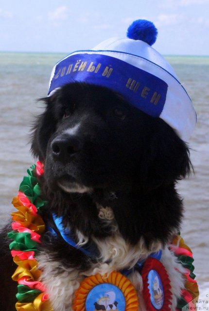 Фотография № 79886