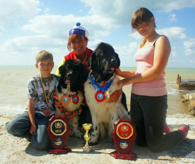 Фото: ньюфаундленд Don't Worry Be Happy de L'Etoile de Cyrice, ньюфаундленд Piternyuf I Did It Again (Питерньюф И Дид Ит Агаин), Ekaterina Kormakova (Екатерина Кормакова), Anastasiya Kormakova (Анастасия Кормакова)