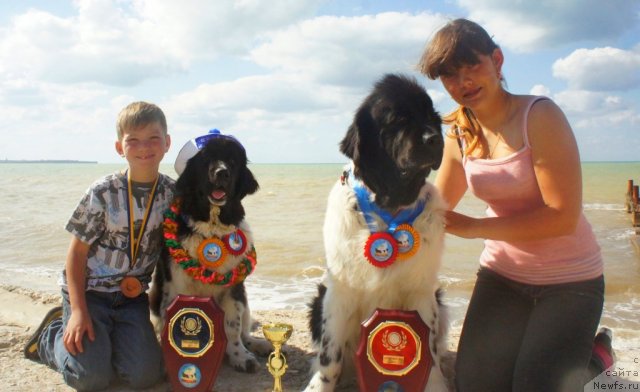 Фото: ньюфаундленд Don't Worry Be Happy de L'Etoile de Cyrice, ньюфаундленд Piternyuf I Did It Again (Питерньюф И Дид Ит Агаин), Anastasiya Kormakova (Анастасия Кормакова)