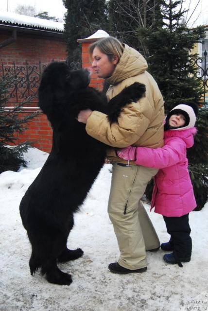 Фотография № 7994