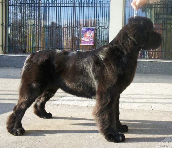 Фотография № 79989