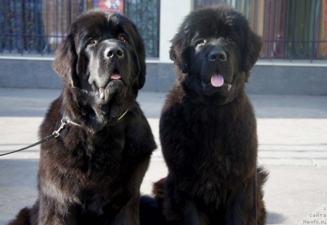 Фотография № 79992