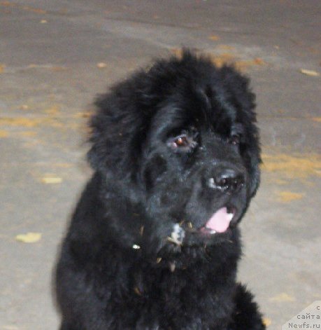 Фото: Бегущая по волнам Зефирин Друэн