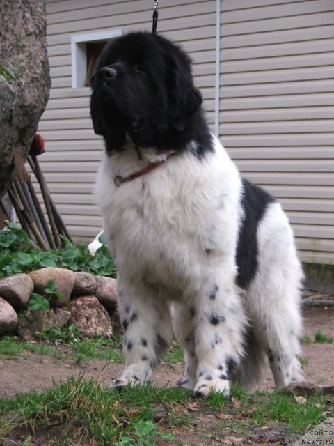 Фотография № 80022