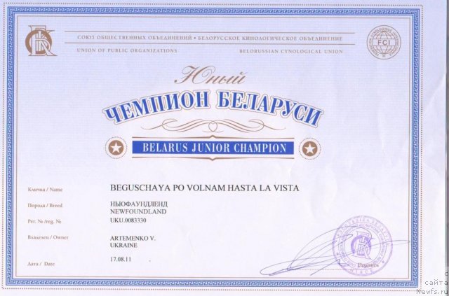 Фото: ньюфаундленд Beguschaya po Volnam Hasta la Vista (Бегущая по Волнам Хаста ла Виста)