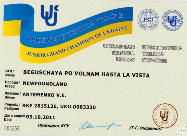 Фото: ньюфаундленд Beguschaya po Volnam Hasta la Vista (Бегущая по Волнам Хаста ла Виста)