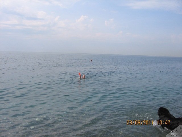 Фотография № 80046