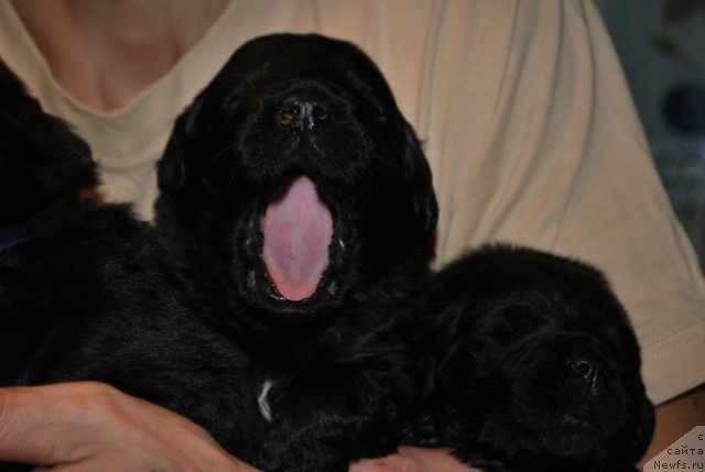 Фото: Natal'ya Smirnova (Наталья Смирнова)