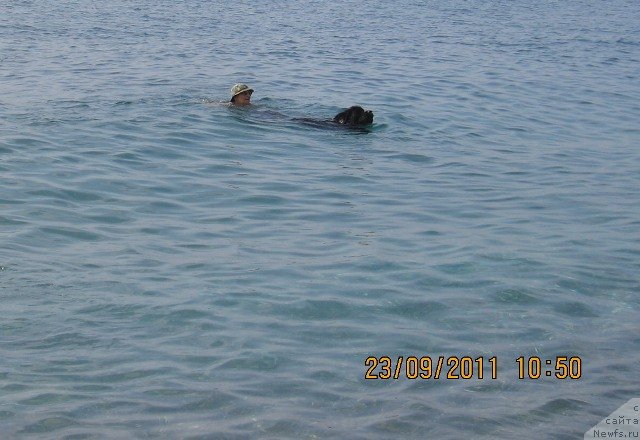 Фотография № 80103