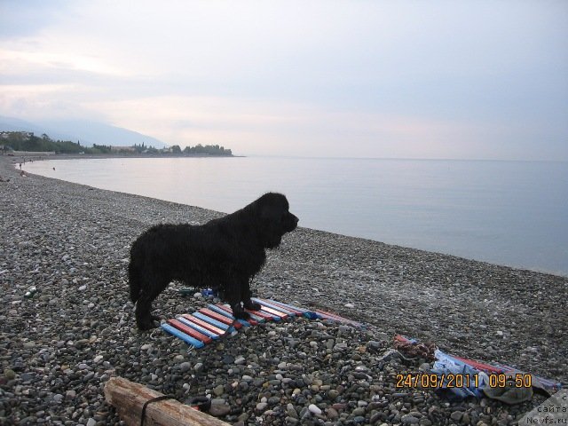 Фотография № 80104