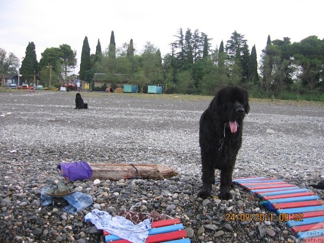 Фотография № 80105