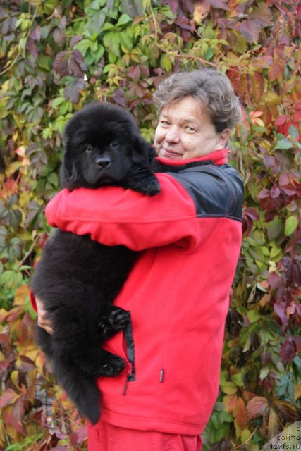 Фотография № 80113