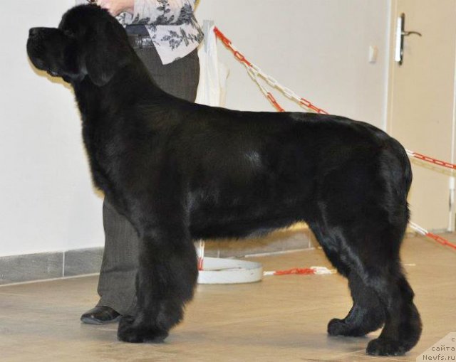 Фотография № 80127