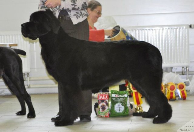 Фотография № 80128