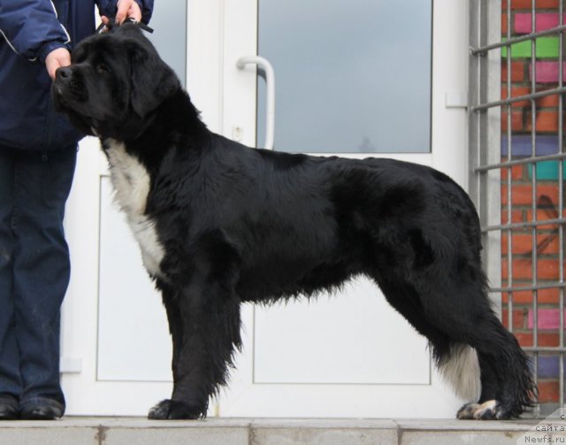 Фотография № 80184