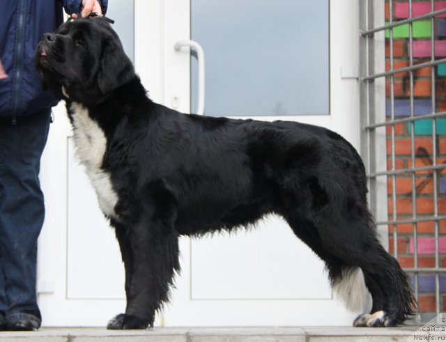 Фотография № 80185