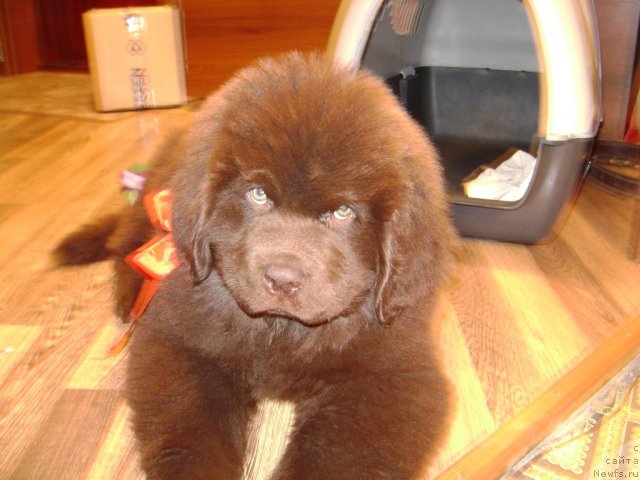 Фото: Акватория Келвин Селебрейшн